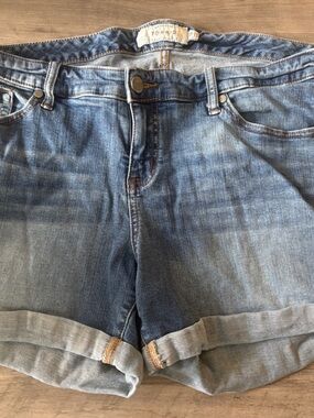 torrid Light Blue Rolled Hem Jean Shorts